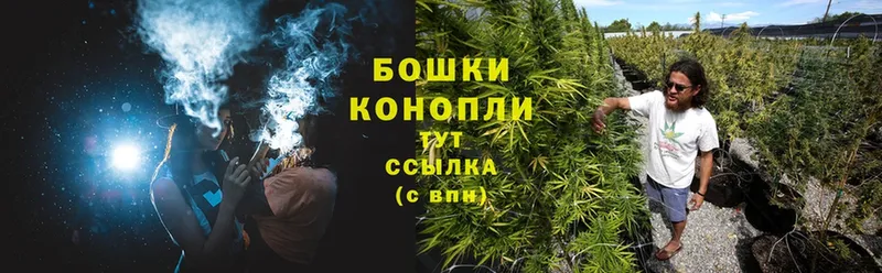 сколько стоит  Пушкино  Бошки марихуана LSD WEED 